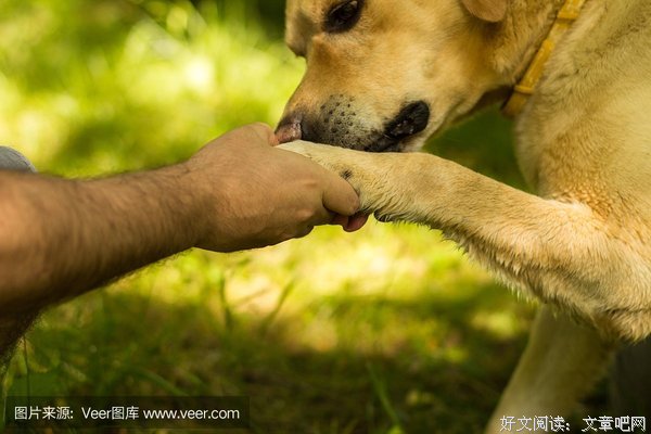 大小S四姐妹出新综艺 | 女性之间的友谊真的更“脆弱”吗？