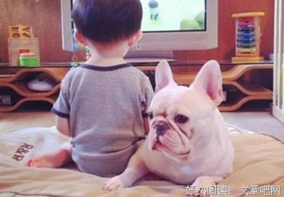 最新的《万万没想到》经典的句子大全