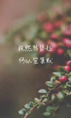 萧默格言警句