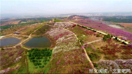 关于安福寺的语句