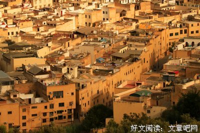 关于菲斯的语句