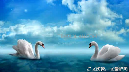 关于爱情经典的句子