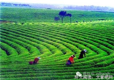 阅读是为了在孤独的他小满是都起走外把寻找知音经典的句子
