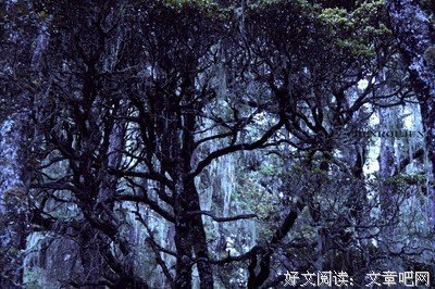 「风花雪月」七百五十三章