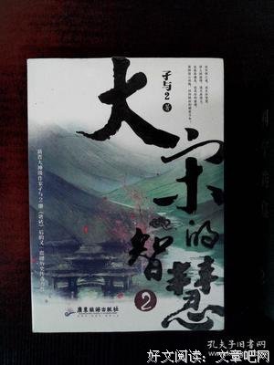 《大宋的智慧》经典的句子