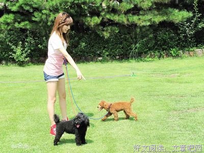 最新的《太阳的后裔》语录摘抄