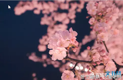 最全的《我亦飘零久》美文摘抄