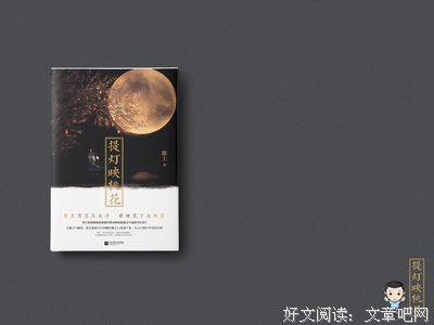 《提灯映桃花》经典语录