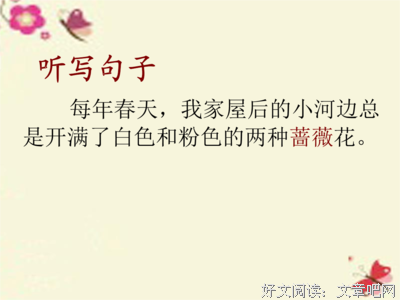 最全的《暗夜蔷薇魅》经典句子大全