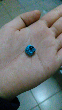 最新的《最后开的花》经典名句