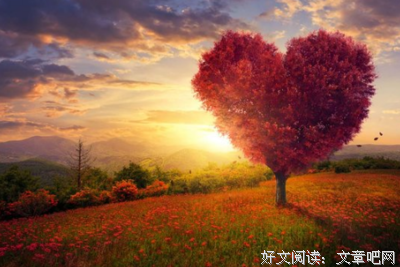 最新的《爱情回来了》经典语录