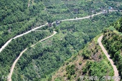 《肥鸟当自强》小说句子大全
