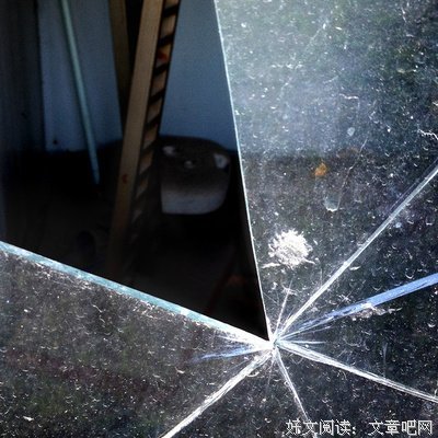 最经典的《自卑与超越》佳句摘抄