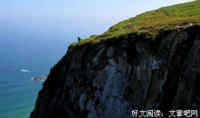 最全的《陆军十字架》名句欣赏大全