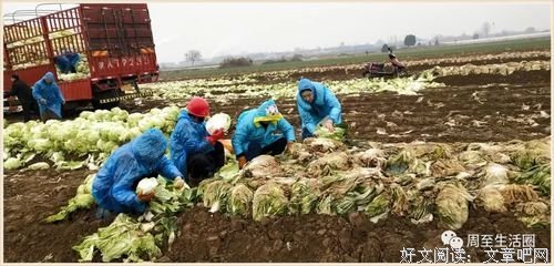 今天，被腾讯感动！