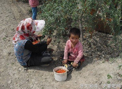 15条关于巴克的经典语句