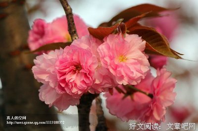 溫经典的句子