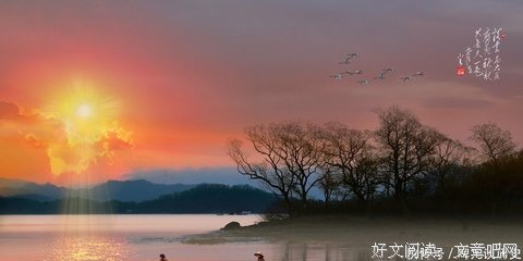 落花名句欣赏