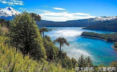 悟句子大全