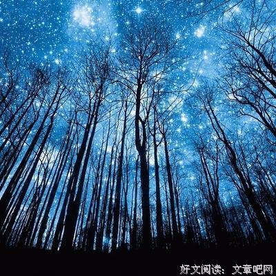 龙的收藏经典名句