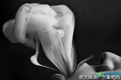 伤痛的优美句子