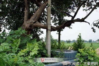 投我木瓜的名言