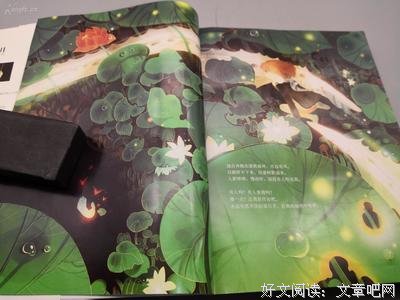 野象小姐名言大全
