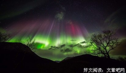 关于自由极光精彩语录