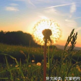 《你是男的我也爱》经典语句大全