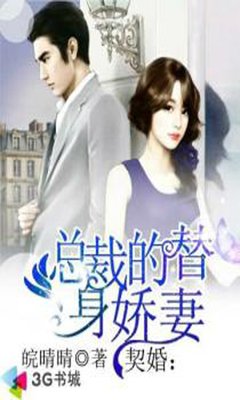 最全的《总裁的替身前妻》小说摘抄