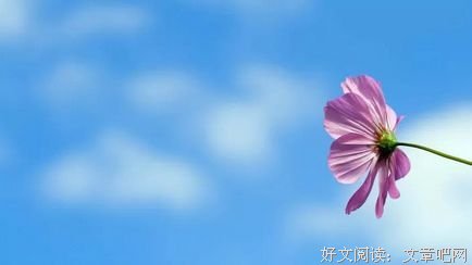 啥叫知足?