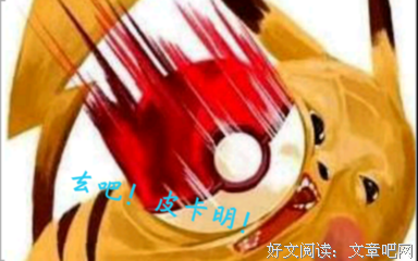 关于皮卡的名言