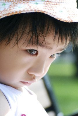 有关杂说的句子