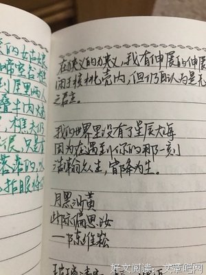 温柔的句子