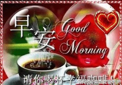 懒鸟经典语录