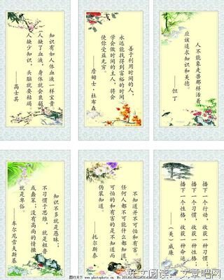 最经典的懒鸟的名言