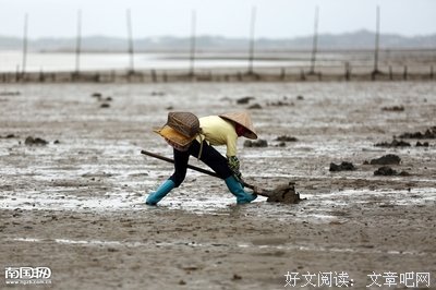 喵星虫子君座右铭