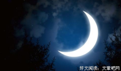 最新的《没有水没有月亮》经典语句