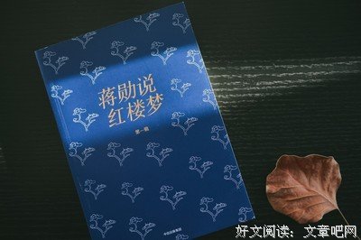 最新的《蒋勋细说红楼梦》佳句摘抄