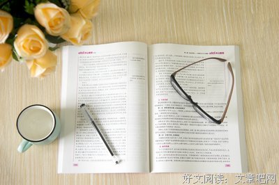 《我的职业是小说家》经典句子