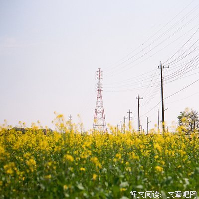 最新的《不畏将来 不念过去》经典语句大全