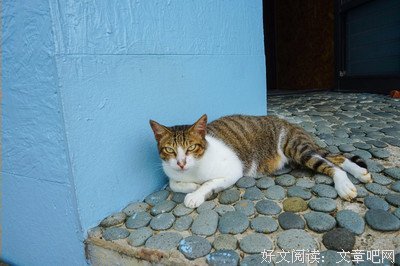 《世界尽头与冷酷仙境》好段摘抄