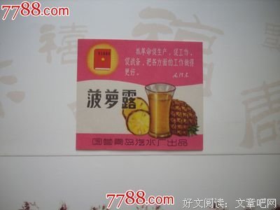 最经典的《我想送你一颗黑凤梨》经典语录大全