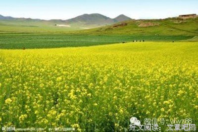 张曼玉格言警句