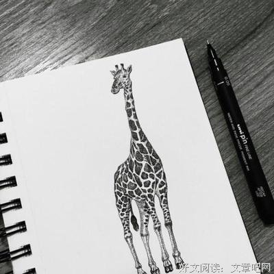 戳人泪点句子大全