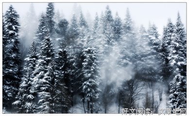 最经典的青色羽翼经典语录