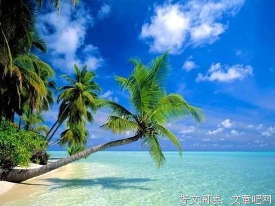 最新的罗贝托·波拉尼奥经典名句