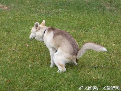 《不可随意疯狂的这一生》名句欣赏大全