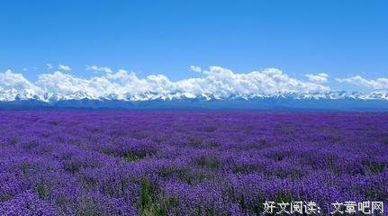 最经典的《有些路，只能一个人走》佳句摘抄大全