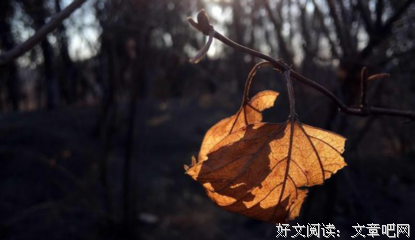 《相逢如初见 回首是一生》经典语句大全